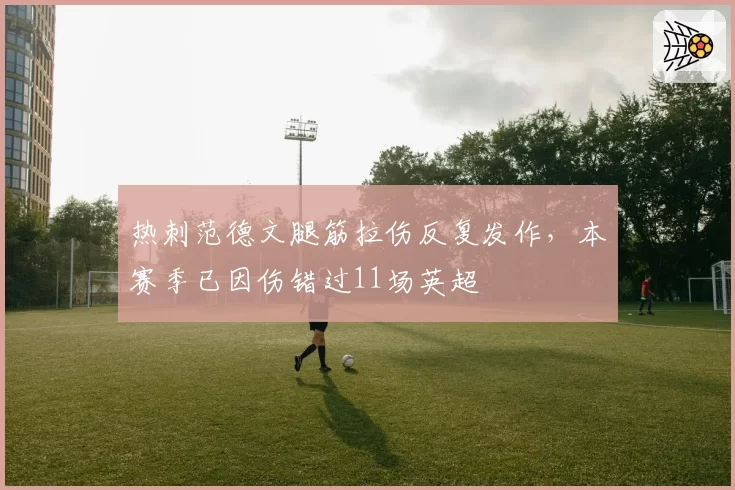 热刺范德文腿筋拉伤反复发作,本赛季已因伤错过11场英超