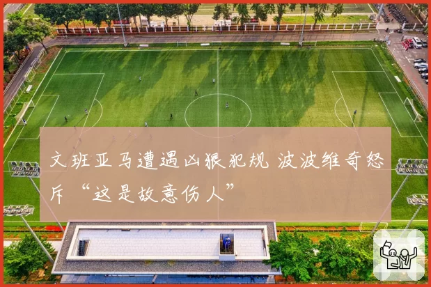 文班亚马遭遇凶狠犯规 波波维奇怒斥“这是故意伤人”