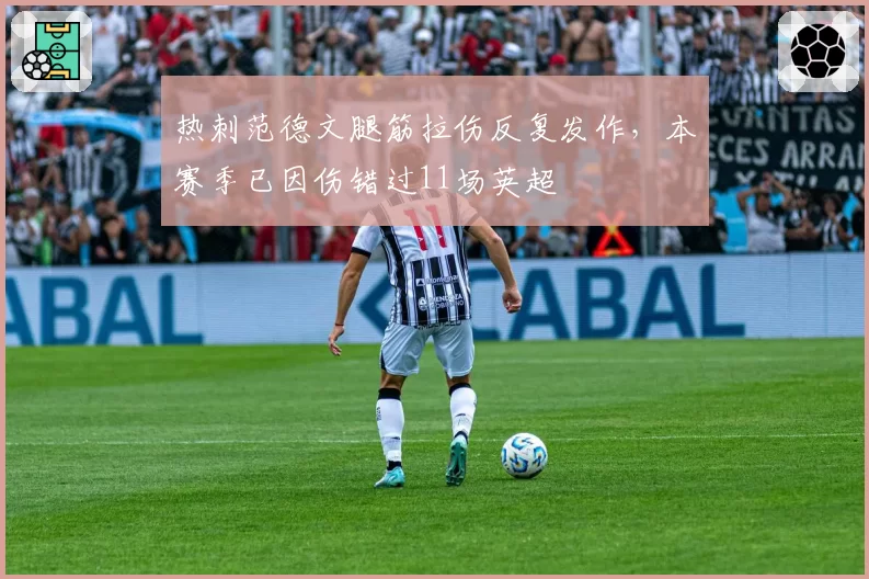热刺范德文腿筋拉伤反复发作,本赛季已因伤错过11场英超