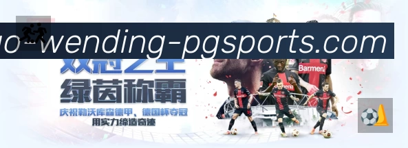 问鼎PG平台展示