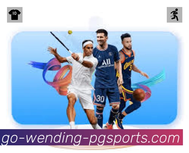 安全使用与支持流程